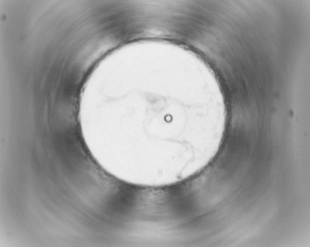 X0000088151314200705291413