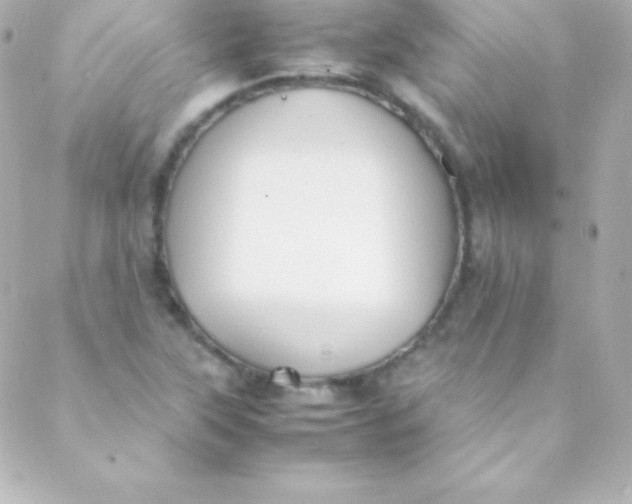 X0000088151315200705291413