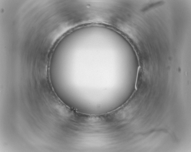 X0000088151316200705291413