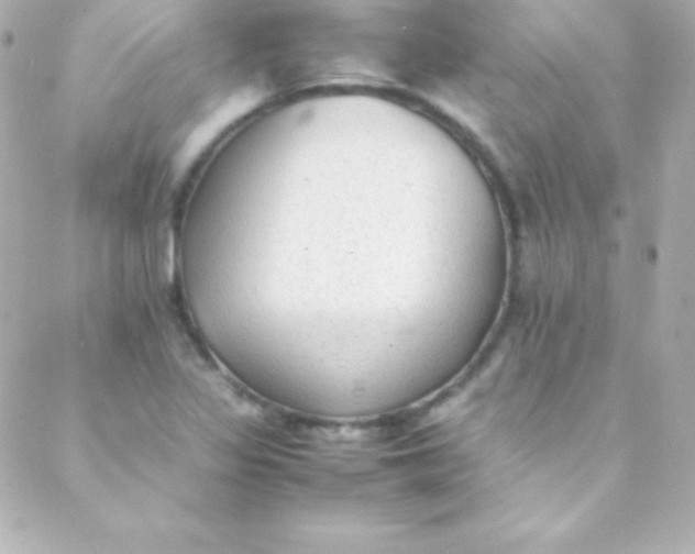 X0000088151317200705291413