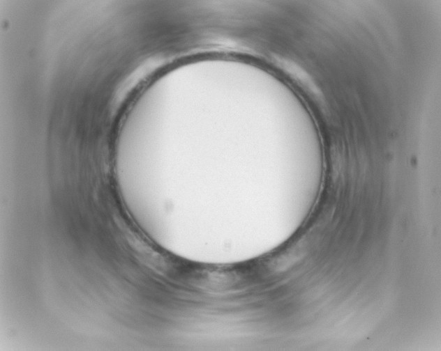 X0000088151318200705291413