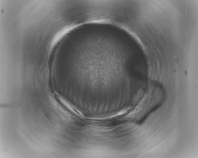 X0000088151319200705291413