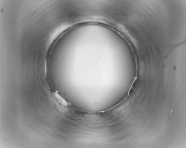 X0000088151320200705291413