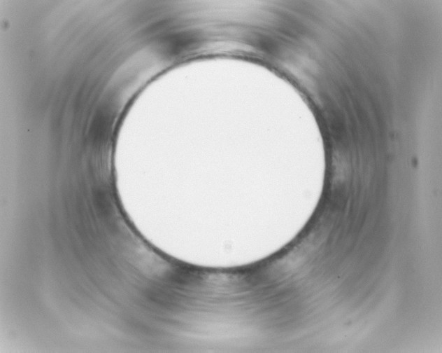 X0000088151322200705291413