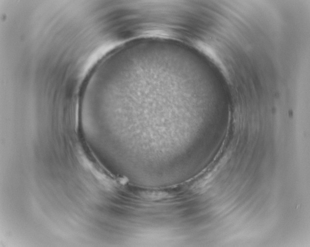 X0000088151323200705291413