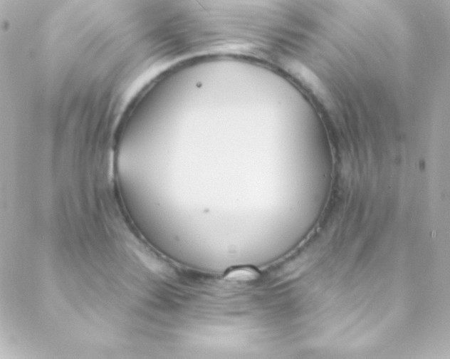 X0000088151324200705291413