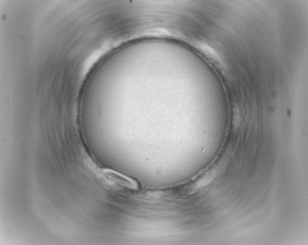 X0000088151326200705291413