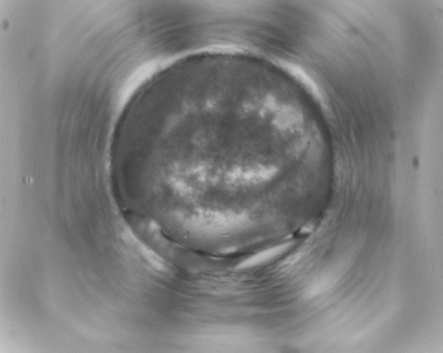 X0000088151327200705291413