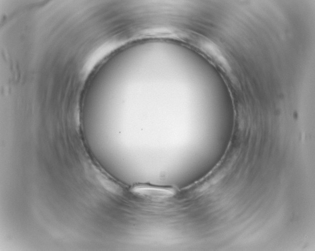 X0000088151328200705291413