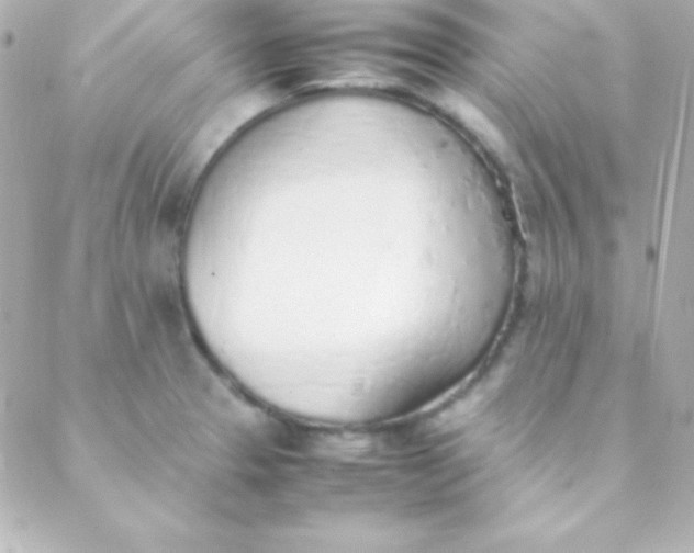 X0000088151329200705291413