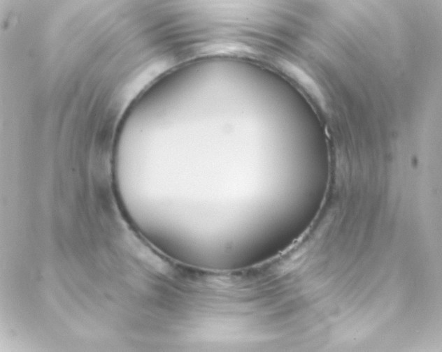 X0000088151330200705291413