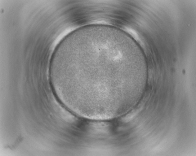 X0000088151331200705291413