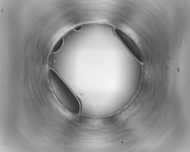 X0000088151332200705291413