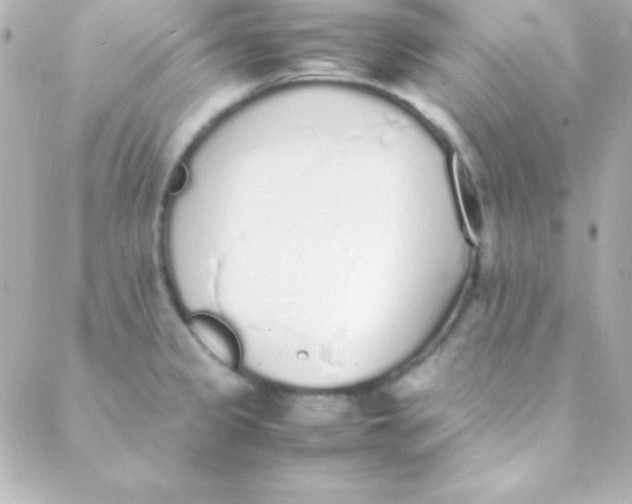 X0000088151333200705291413