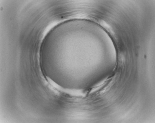 X0000088151334200705291413