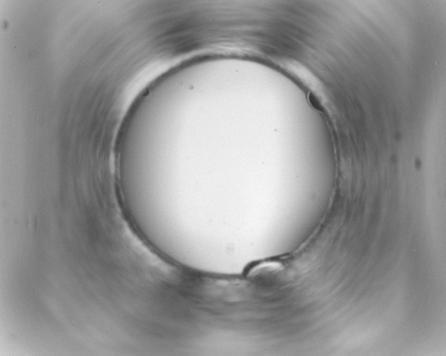 X0000088151335200705291413