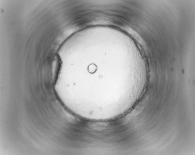 X0000088151337200705291413