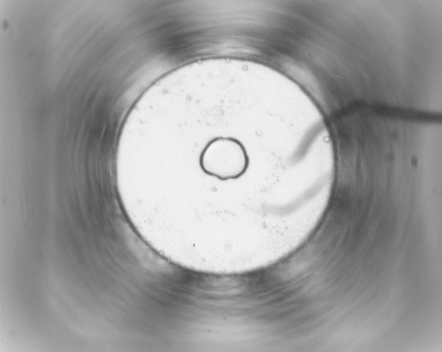 X0000088151338200705291413