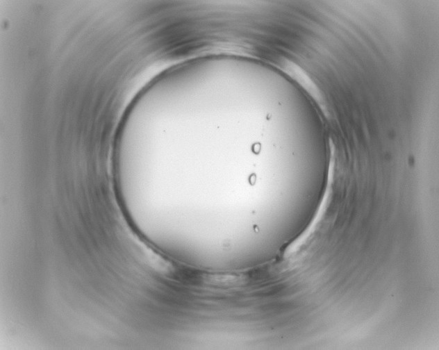 X0000088151339200705291413