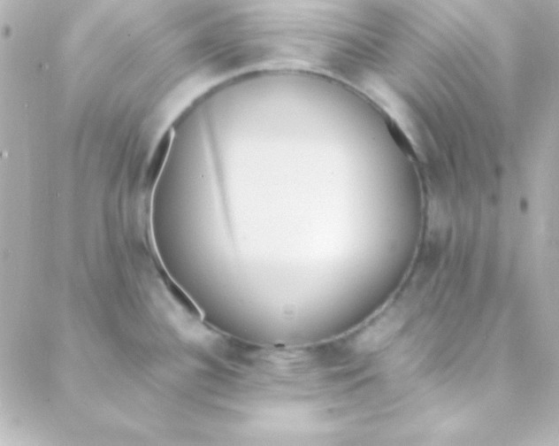 X0000088151340200705291413