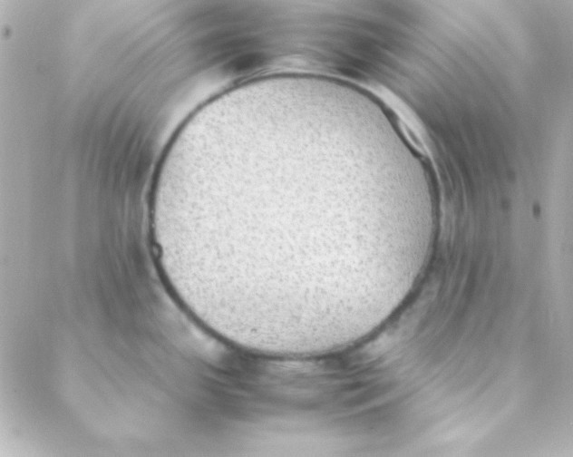 X0000088151341200705291413