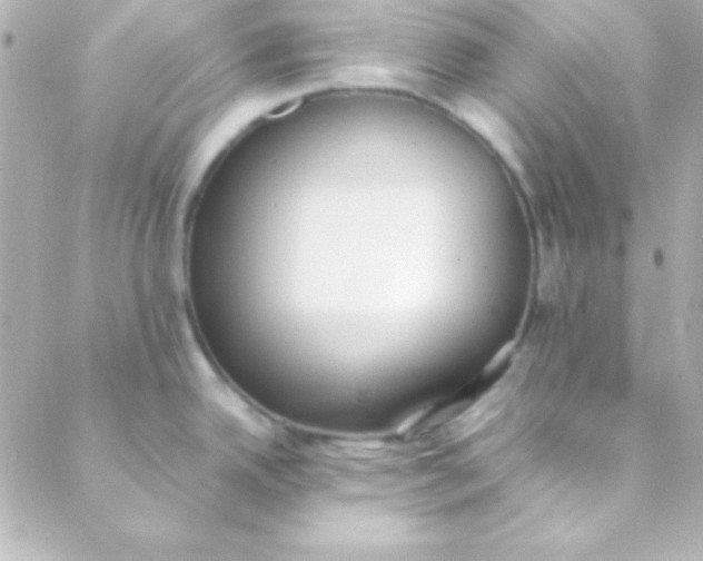 X0000088151342200705291413