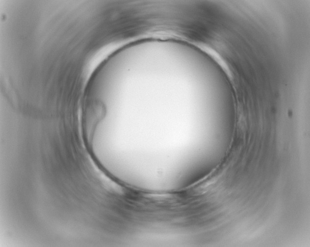 X0000088151343200705291413