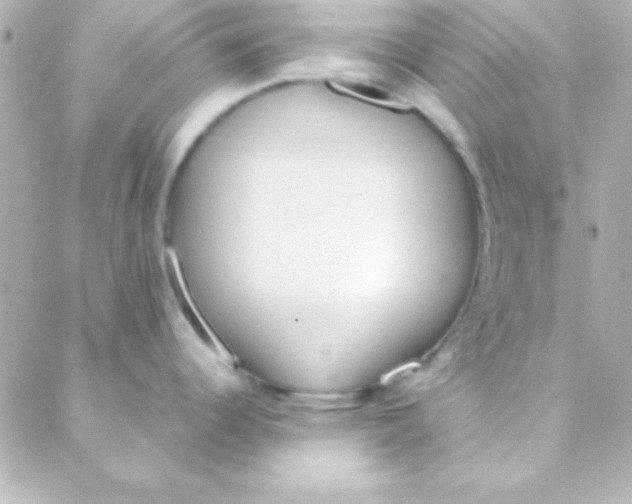 X0000088151344200705291413