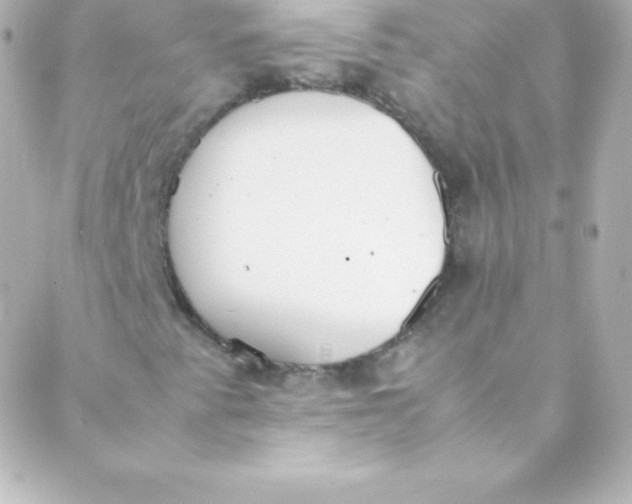 X0000088151345200705291412