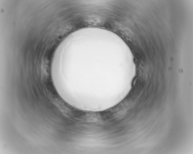 X0000088151346200705291412