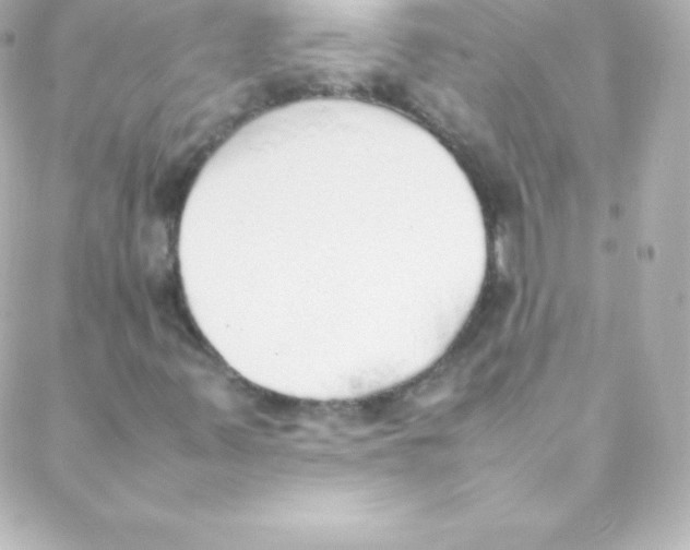 X0000088151347200705291412