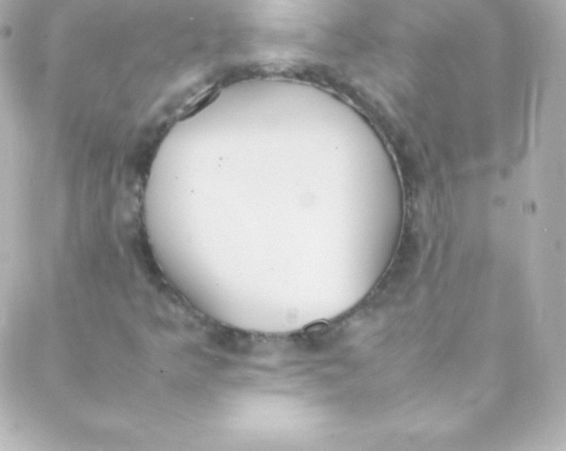 X0000088151349200705291412