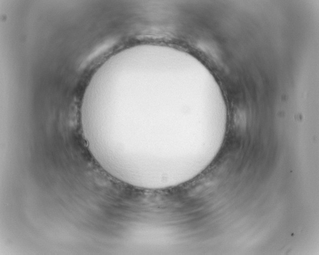 X0000088151350200705291412