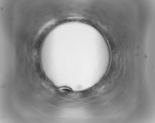 X0000088151351200705291412