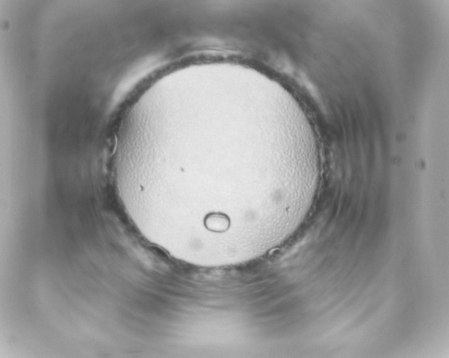 X0000088151352200705291412