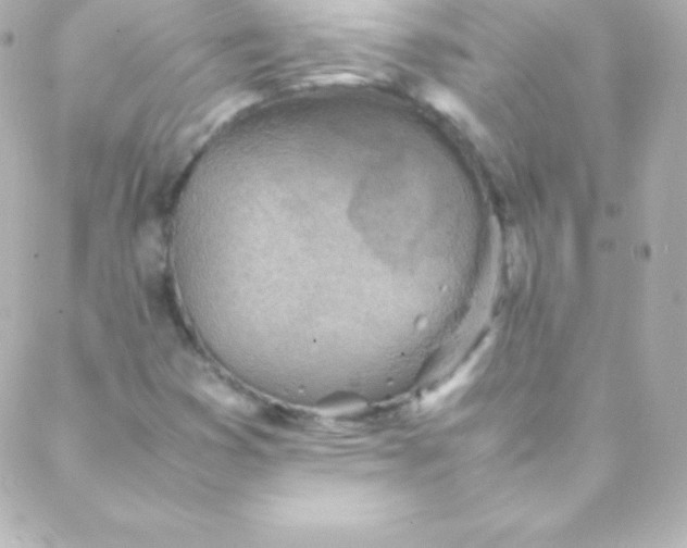 X0000088151353200705291412