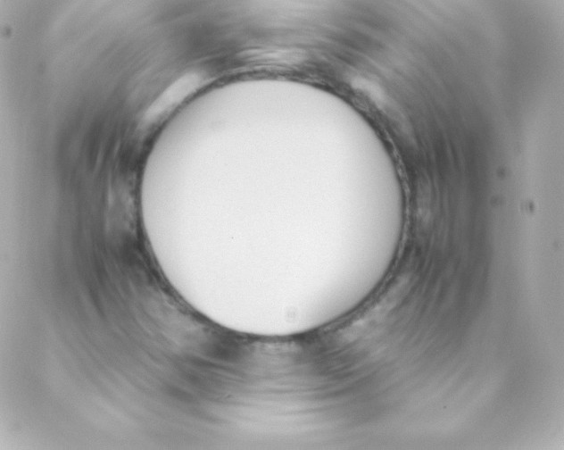 X0000088151354200705291412