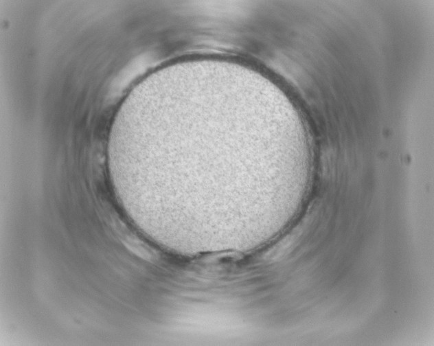 X0000088151355200705291412