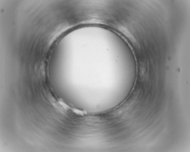 X0000088151356200705291412