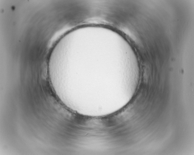 X0000088151358200705291412