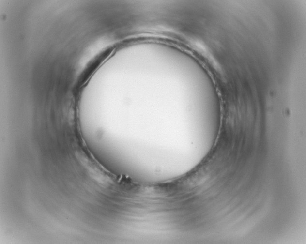 X0000088151360200705291412