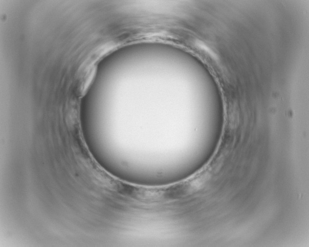 X0000088151361200705291412