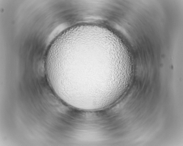 X0000088151362200705291412