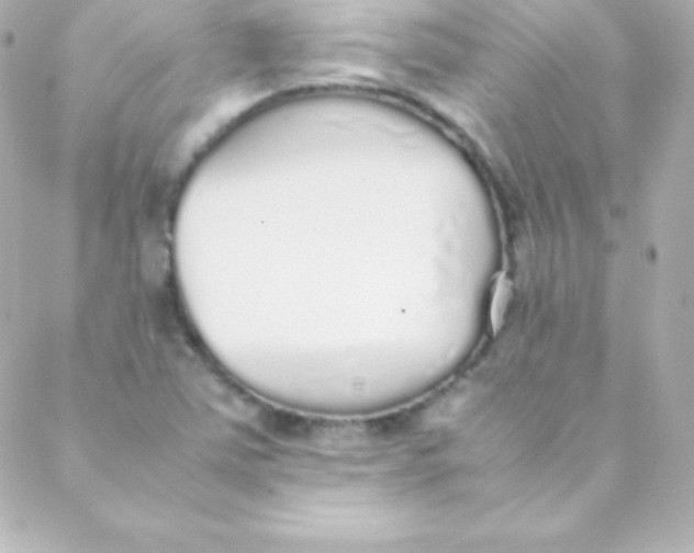 X0000088151363200705291412