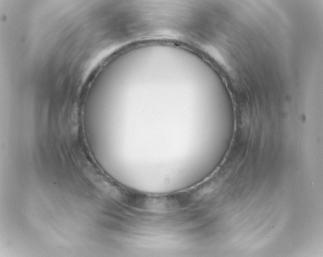 X0000088151364200705291412