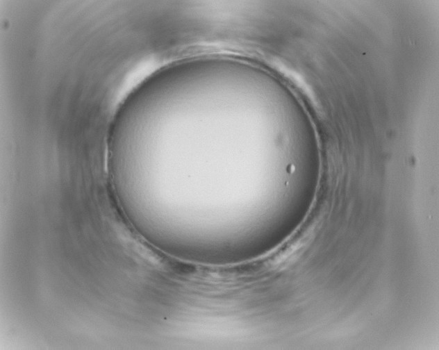 X0000088151365200705291412