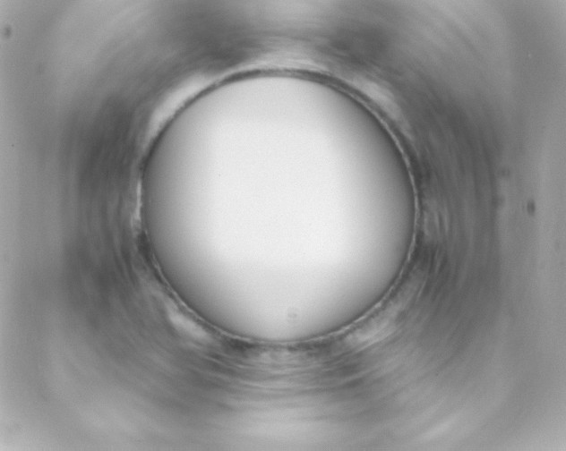 X0000088151366200705291412