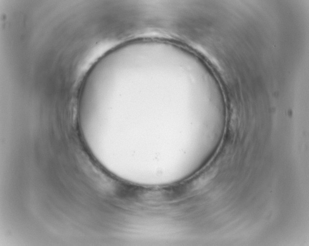 X0000088151367200705291412