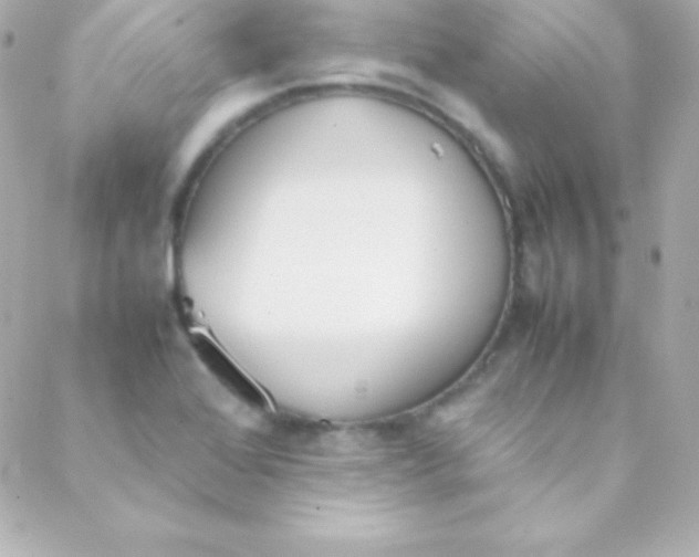 X0000088151368200705291412