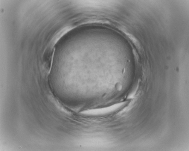 X0000088151369200705291412